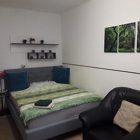 Apartment Ap 1 Im Zentrum Steyr, Bestrooms Eu Exteriér fotografie